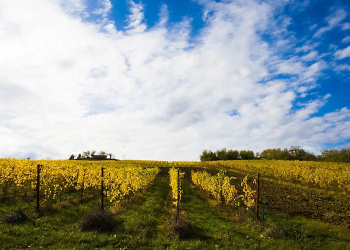 Resort Palazzo Di Varignana